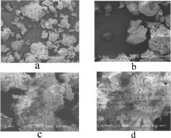 Preparation and evaluation of Bacopa–phospholipid complex for antiamnesic activity in rodents