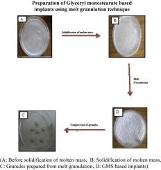 Compressed glyceryl monostearate based biodegradable implant of Gentamicin using melt granulation technique: In vitro evaluation & biocompatibility in animals