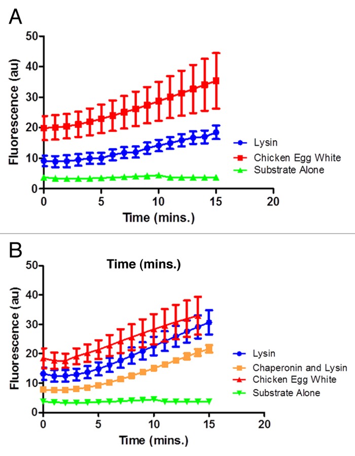 Enzymatic characterization of a lysin encoded by bacteriophage EL.