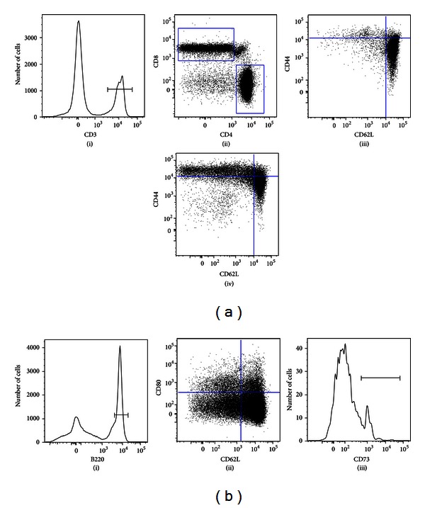 Identification of T- and B-Cell Subsets That Expand in the Central and Peripheral Lymphoid Organs during the Establishment of Nut Allergy in an Adjuvant-Free Mouse Model.