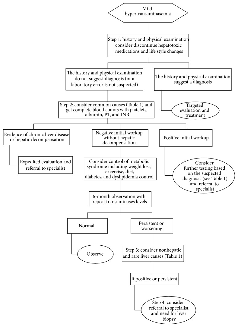 Mild Hypertransaminasemia in Primary Care.