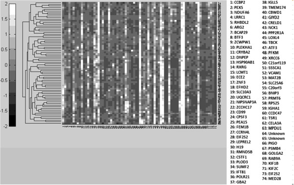 A diagnostic methodology for Alzheimer's disease.