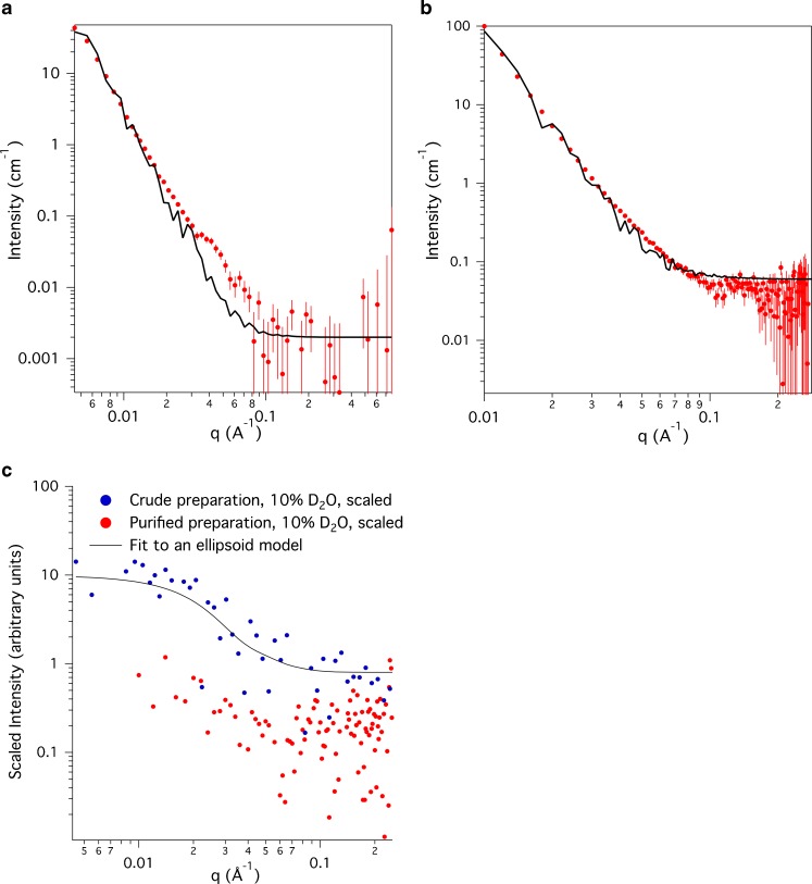 The lipidome and proteome of oil bodies from Helianthus annuus (common sunflower).