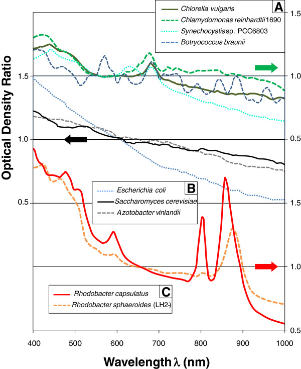 Improving accuracy of cell and chromophore concentration measurements using optical density.