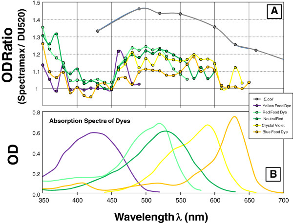 Improving accuracy of cell and chromophore concentration measurements using optical density.