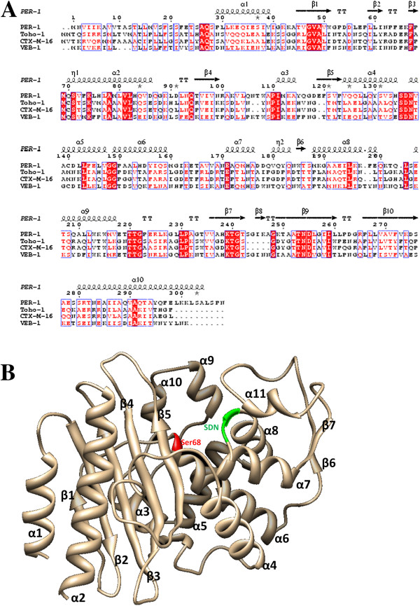 Homology modeling and virtual screening approaches to identify potent inhibitors of VEB-1 β-lactamase.