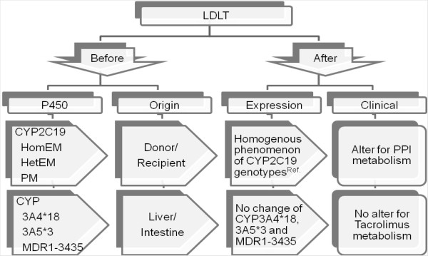 Biological interactions of CYP2C19 genotypes with CYP3A4*18, CYP3A5*3, and MDR1-3435 in living donor liver transplantation recipients.