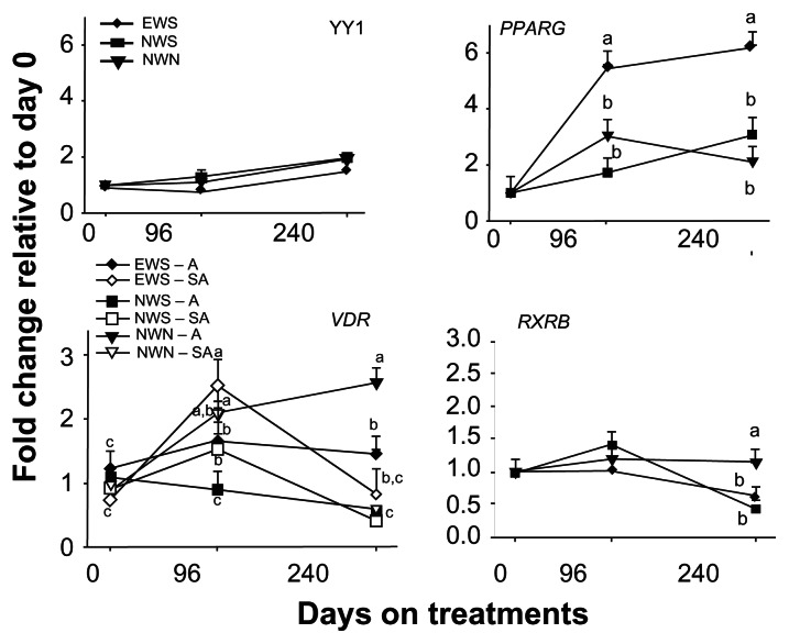 Yin yang 1 and adipogenic gene network expression in longissimus muscle of beef cattle in response to nutritional management.