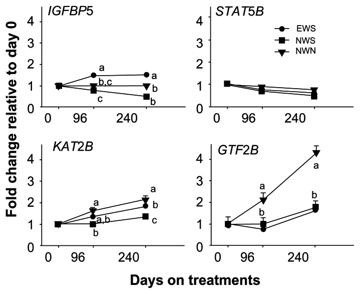 Yin yang 1 and adipogenic gene network expression in longissimus muscle of beef cattle in response to nutritional management.