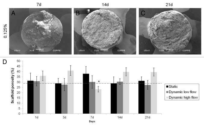 Role of culture conditions on in vitro transformation and cellular colonization of biomimetic HA-Col scaffolds.