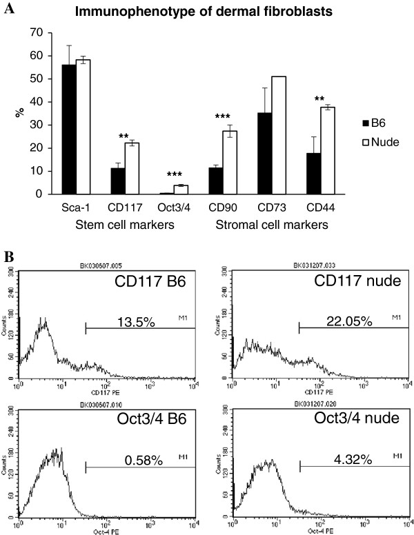 Cyclosporin A reduces matrix metalloproteinases and collagen expression in dermal fibroblasts from regenerative FOXN1 deficient (nude) mice.