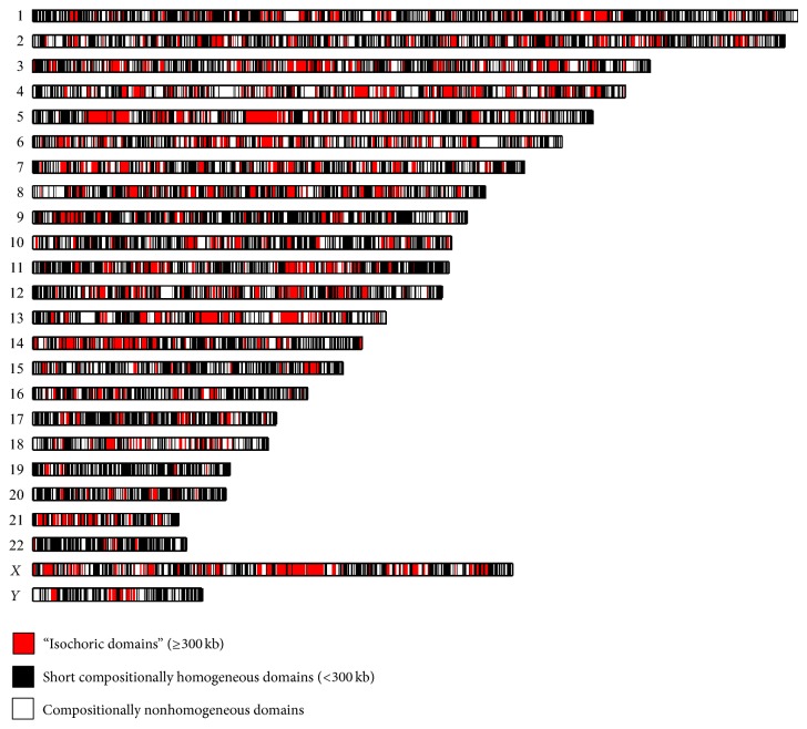 IsoPlotter(+): A Tool for Studying the Compositional Architecture of Genomes.