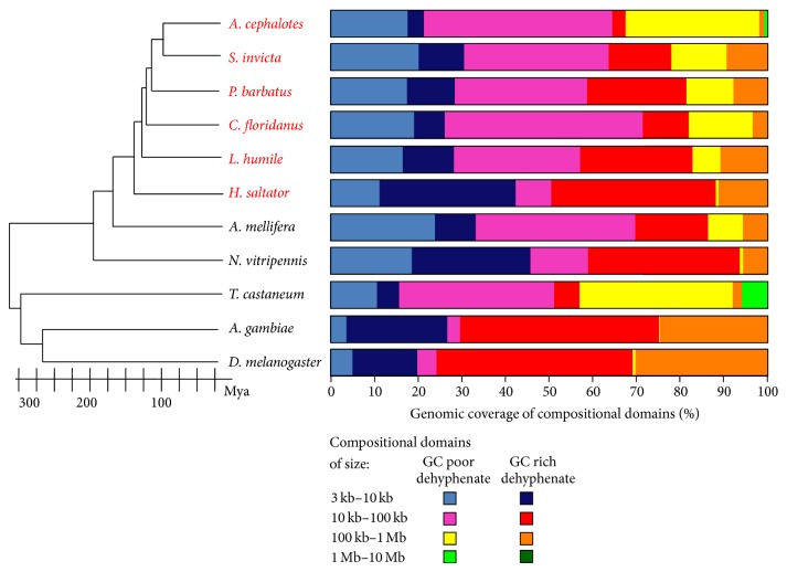 IsoPlotter(+): A Tool for Studying the Compositional Architecture of Genomes.