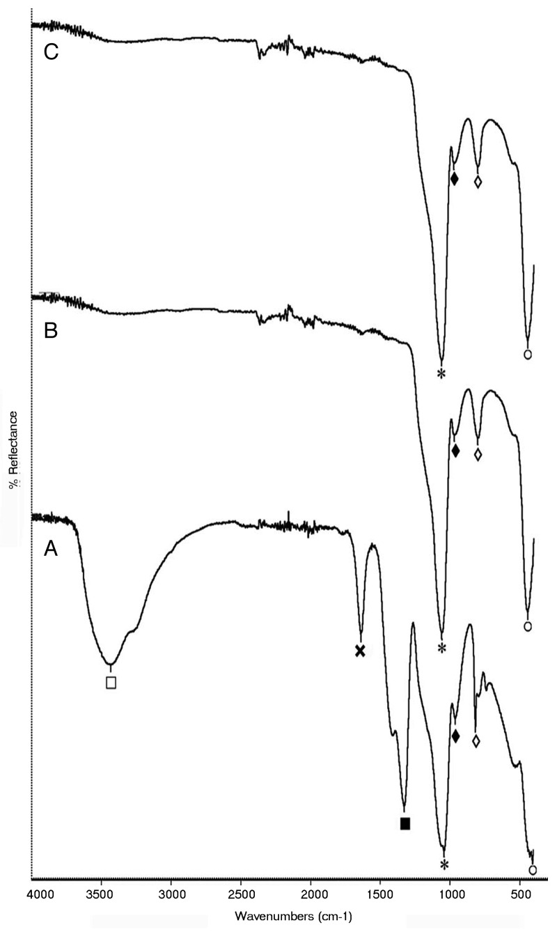 A new synthesis route to high surface area sol gel bioactive glass through alcohol washing: a preliminary study.