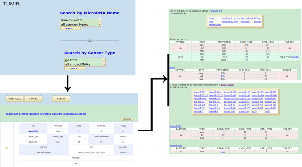 TUMIR: an experimentally supported database of microRNA deregulation in various cancers.