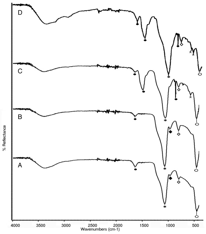 A new synthesis route to high surface area sol gel bioactive glass through alcohol washing: a preliminary study.