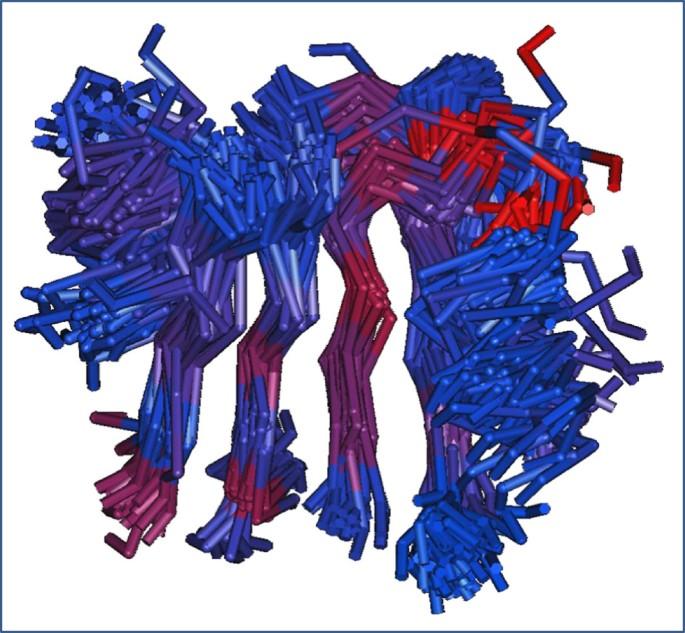 Structural and functional studies of S-adenosyl-L-methionine binding proteins: a ligand-centric approach