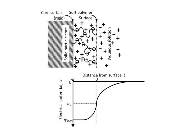 The surface properties of Shewanella putrefaciens 200 and S. oneidensis MR-1: the effect of pH and terminal electron acceptors