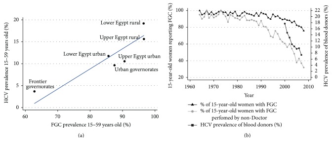 Female Genital Cutting and Hepatitis C Spread in Egypt.