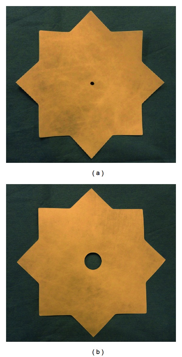 Evaluation of ECHO PS Positioning System in a Porcine Model of Simulated Laparoscopic Ventral Hernia Repair.