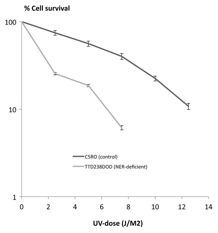 Xeroderma Pigmentosum-Trichothiodystrophy overlap patient with novel XPD/ERCC2 mutation.