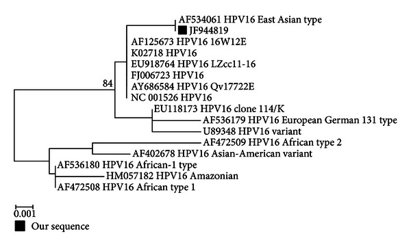 Oral lichen planus in thai patients has a low prevalence of human papillomavirus.
