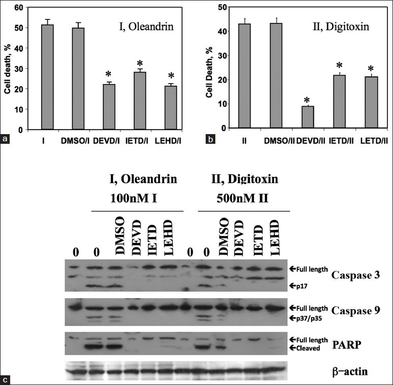 Digitoxin induces apoptosis in cancer cells by inhibiting nuclear factor of activated T-cells-driven c-MYC expression.