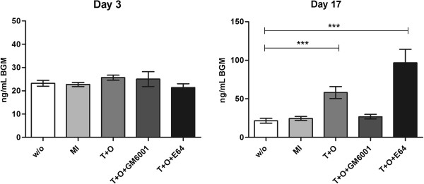 Biglycan fragmentation in pathologies associated with extracellular matrix remodeling by matrix metalloproteinases.