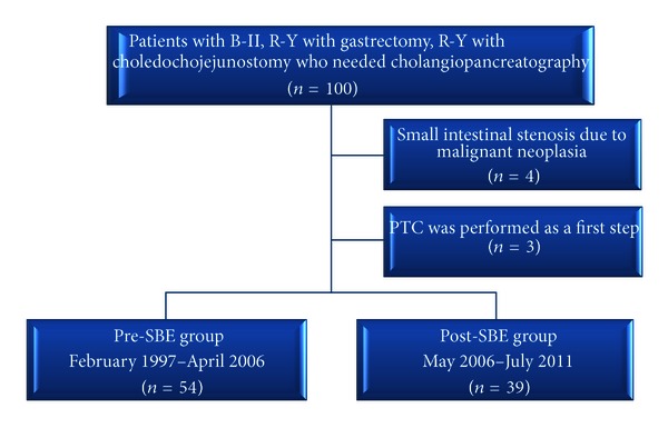 Does single-balloon enteroscopy contribute to successful endoscopic retrograde cholangiopancreatography in patients with surgically altered gastrointestinal anatomy?