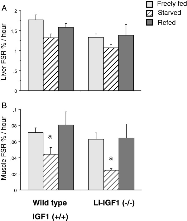 Liver-derived endocrine IGF-I is not critical for activation of skeletal muscle protein synthesis following oral feeding.