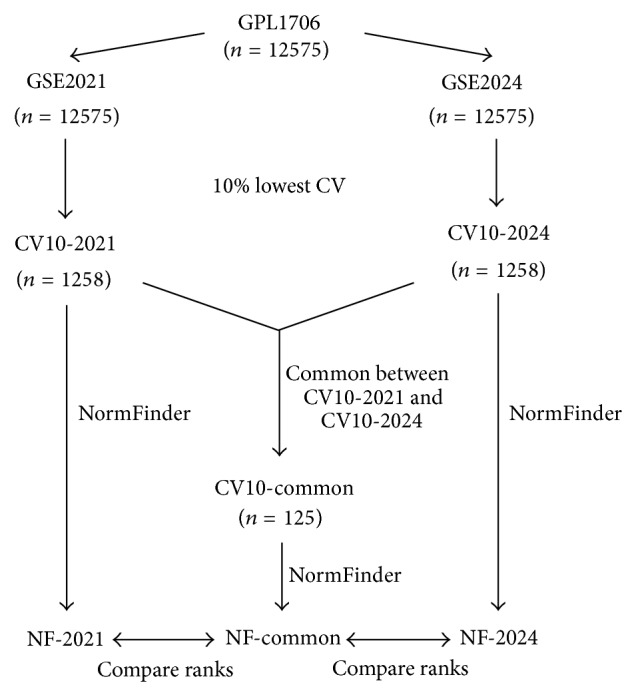 Transcriptome Analysis of Spermophilus lateralis and Spermophilus tridecemlineatus Liver Does Not Suggest the Presence of Spermophilus-Liver-Specific Reference Genes.