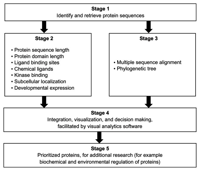 Inferences on the biochemical and environmental regulation of universal stress proteins from Schistosomiasis parasites.