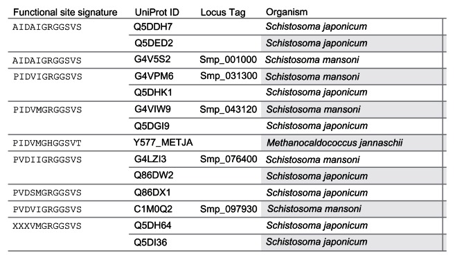 Inferences on the biochemical and environmental regulation of universal stress proteins from Schistosomiasis parasites.