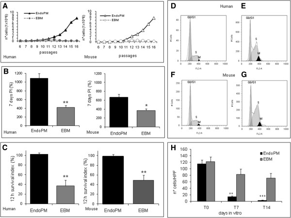 Human and mouse brain-derived endothelial cells require high levels of growth factors medium for their isolation, in vitro maintenance and survival.