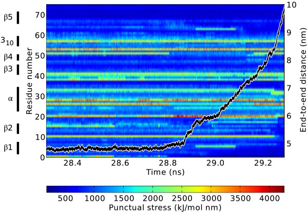 Time-resolved force distribution analysis.