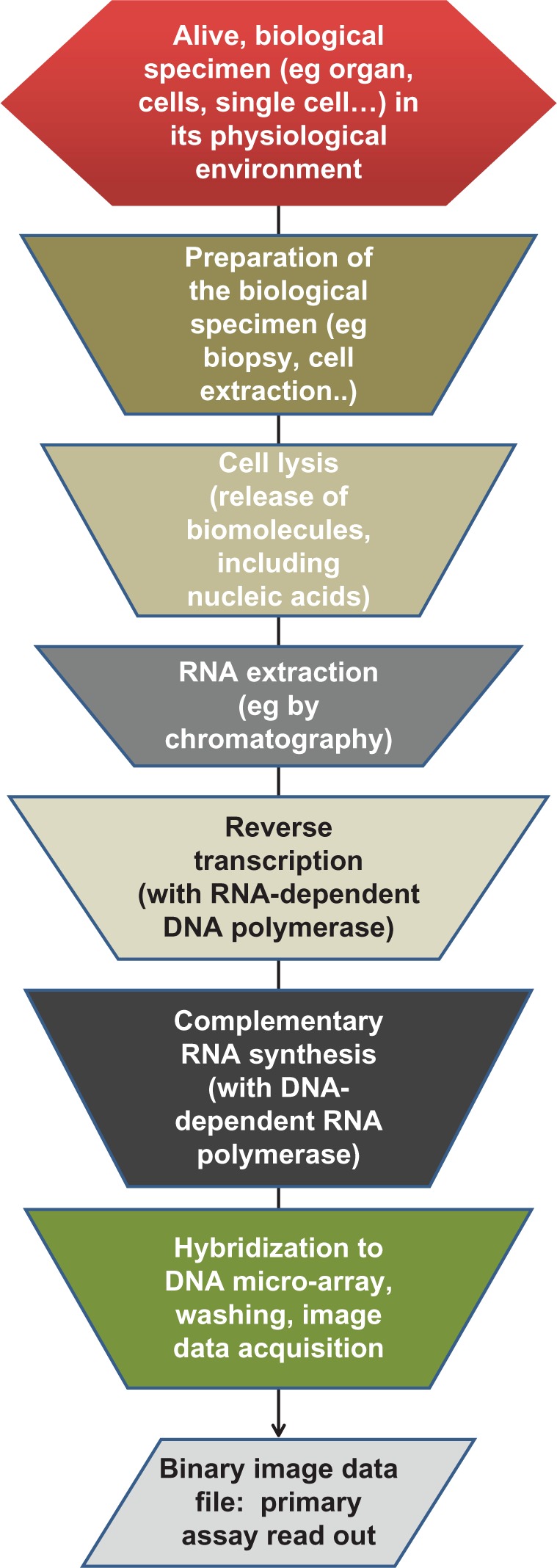 Inter-Laboratory Variability in Array-Based RNA Quantification Methods.
