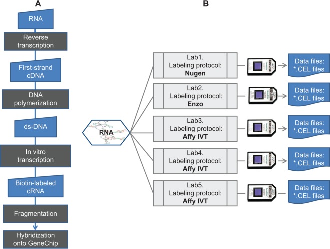 Inter-Laboratory Variability in Array-Based RNA Quantification Methods.