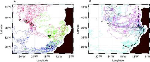 Lagrangian transport pathways in the northeast Atlantic and their environmental impact