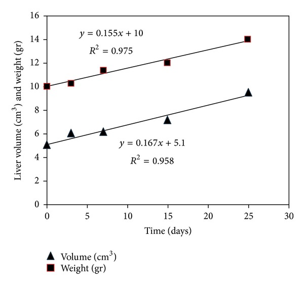 The effects of bile duct obstruction on liver volume: an experimental study.