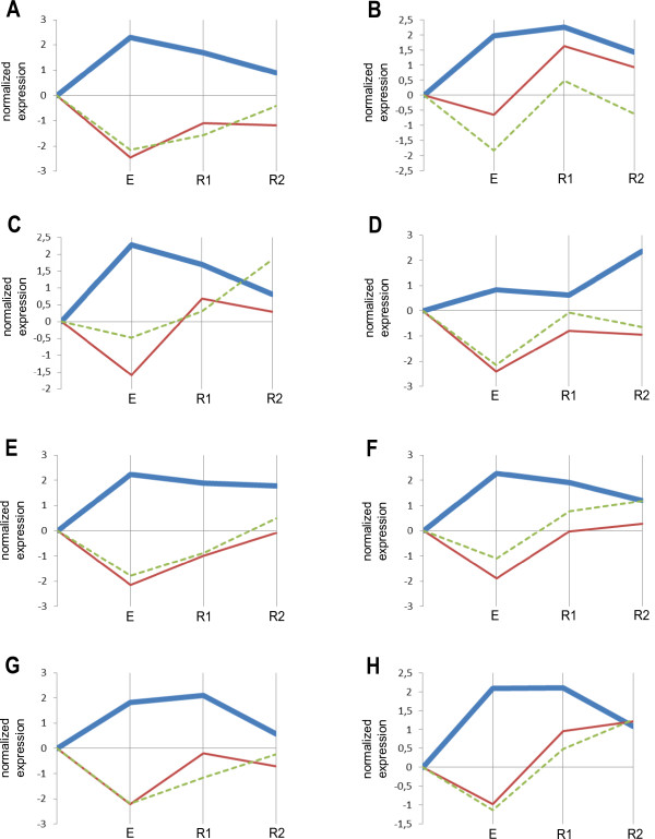 Dynamically regulated miRNA-mRNA networks revealed by exercise.