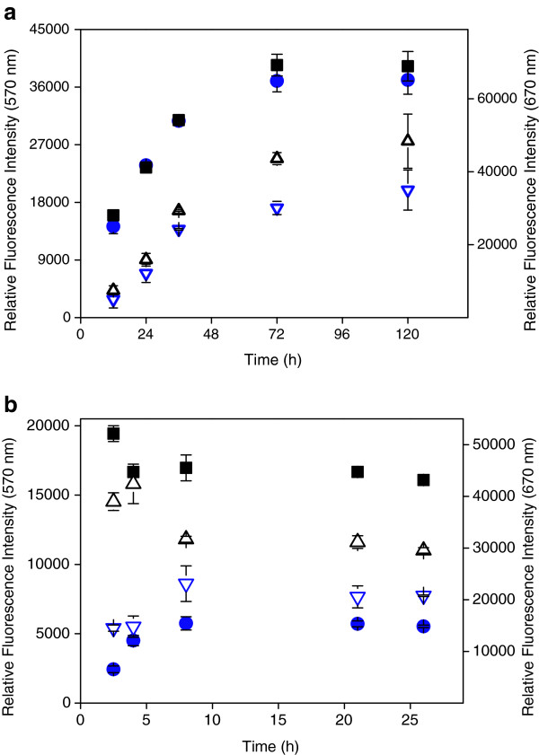 Drop drying on surfaces determines chemical reactivity - the specific case of immobilization of oligonucleotides on microarrays.