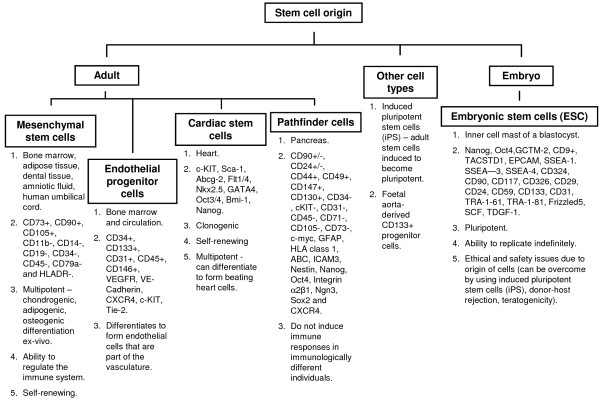 Exploiting paracrine mechanisms of tissue regeneration to repair damaged organs.