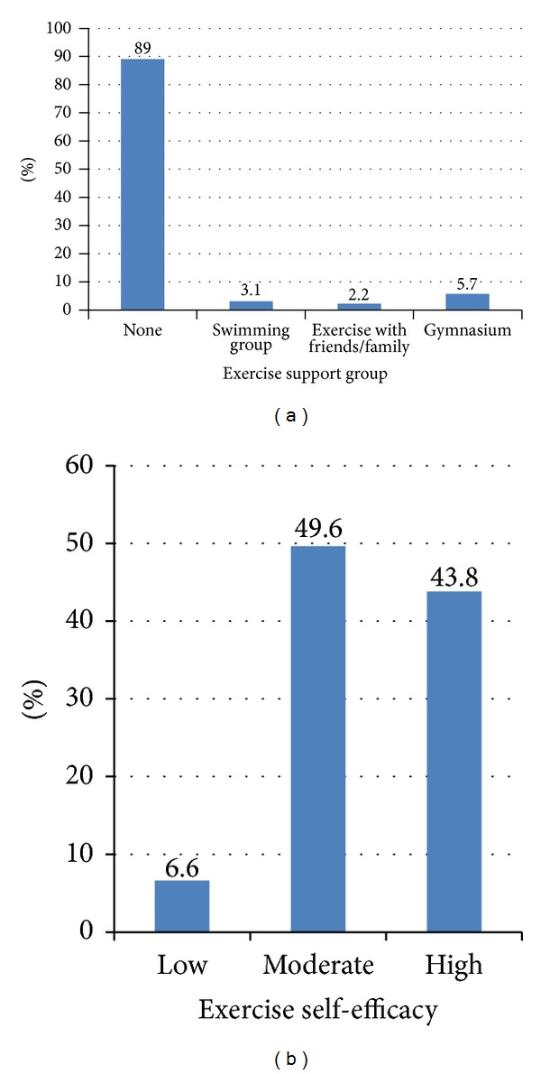 Postpartum Exercise among Nigerian Women: Issues Relating to Exercise Performance and Self-Efficacy.