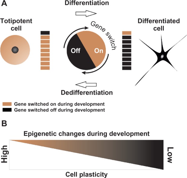 Unexplored potentials of epigenetic mechanisms of plants and animals-theoretical considerations.