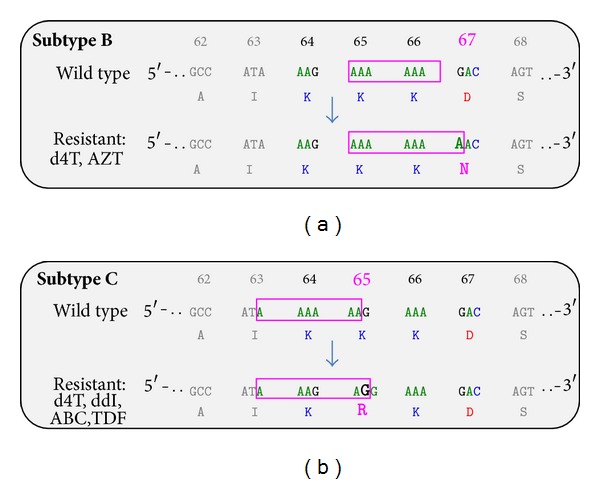 HIV-1 Genetic Variability and Clinical Implications.