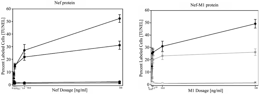 Nef-M1, a CXCR4 Peptide Antagonist, Enhances Apoptosis and Inhibits Primary Tumor Growth and Metastasis in Breast Cancer.