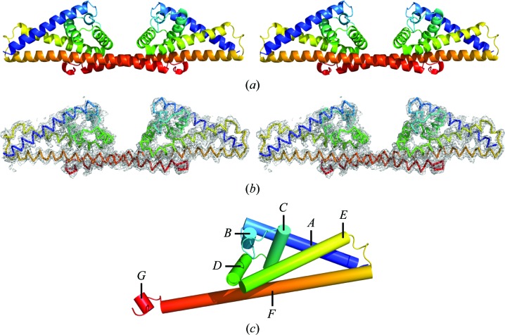 Further structural insights into the binding of complement factor H by complement regulator-acquiring surface protein 1 (CspA) of Borrelia burgdorferi.