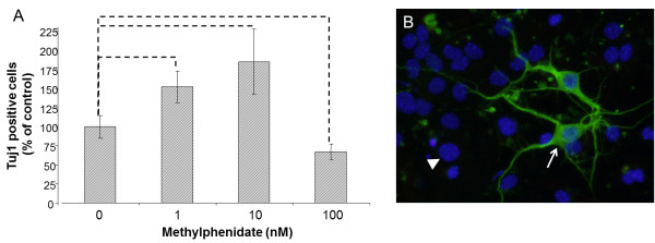 Correction: Methylphenidate enhances neural stem cell differentiation.