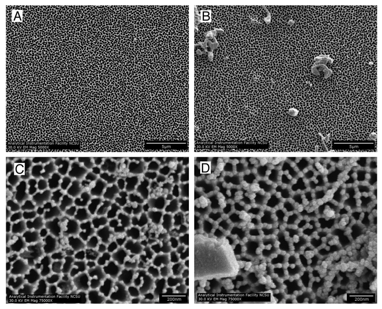 Cytotoxicity of cultured macrophages exposed to antimicrobial zinc oxide (ZnO) coatings on nanoporous aluminum oxide membranes.