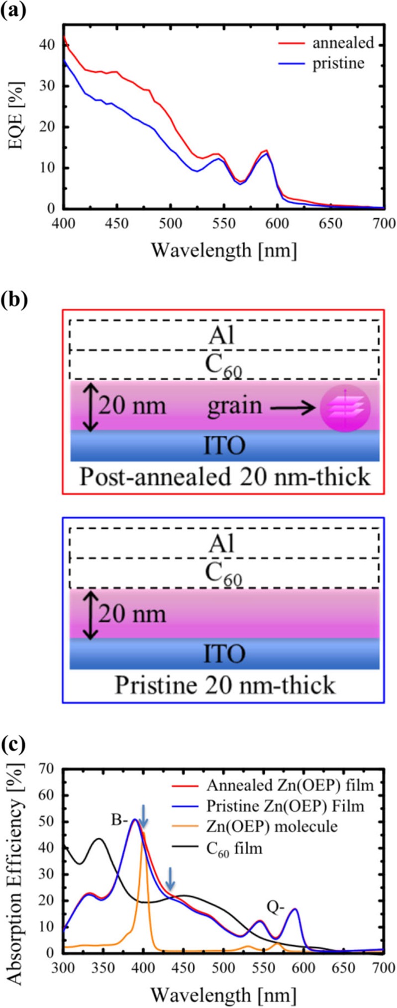 Basic aspects for improving the energy conversion efficiency of hetero-junction organic photovoltaic cells.